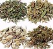 Chinese Herbal Medicine